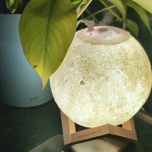 Moon Aromatherapy Lamp with Wooden Stand